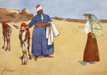 Die Schöne und die Bestien, aus 